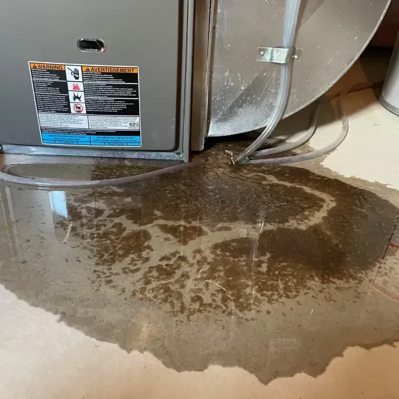 Appliance Leak Cleanup in Oxford County, ME